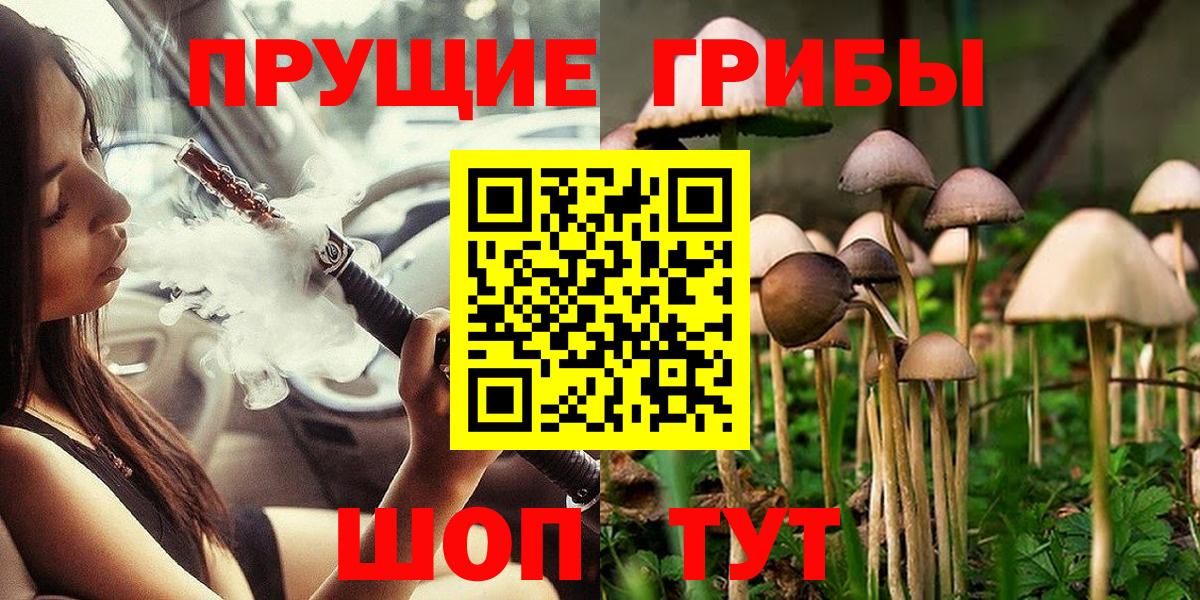 Псилоцибиновые грибы Magic Shrooms Чита