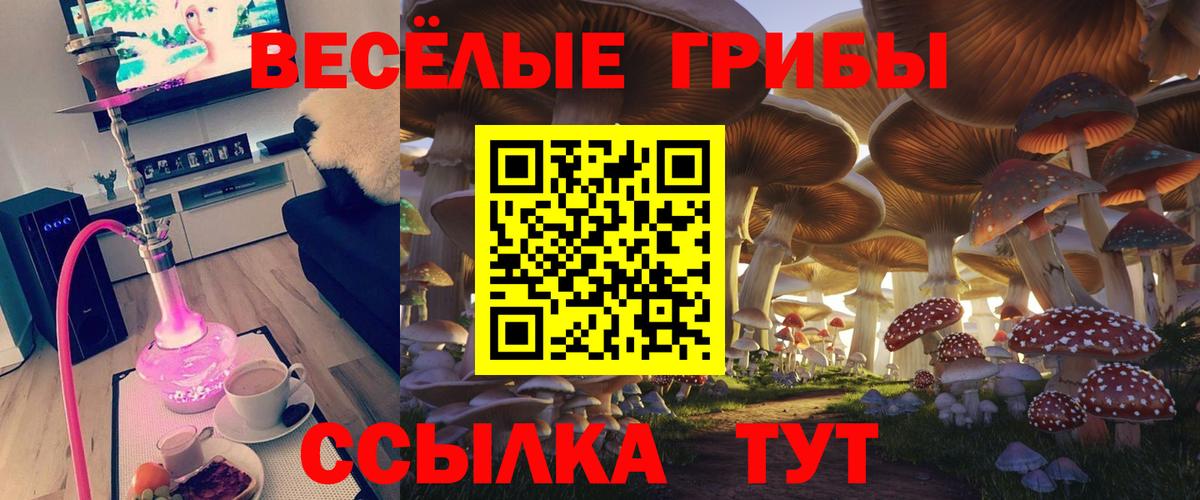 Галлюциногенные грибы прущие грибы  Вход с VPN  Псилоцибиновые грибы ЛСД  Чита 